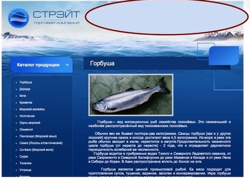 с-каталогом-продукции
